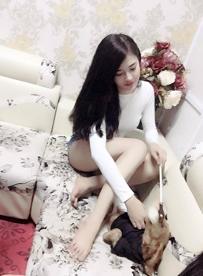 叶不凡动画全集在线观看免费